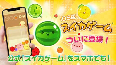 Suika Game on iOS, showing a phone surrounded by colorful fruit