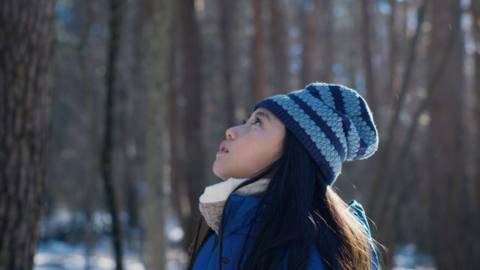 Evil Does Not Exist offers no answers for its terrifying questions