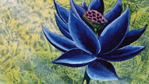 Magic: The Gathering Black Lotus sells for record-breaking $3 million