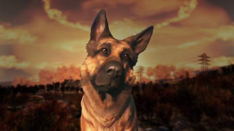 Man’s best friend in a Wasteland: Why Dogmeat reigns supreme in the Fallout universe