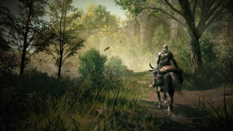 Shadow of the Erdtree is Elden Ring’s sole DLC, but may not be the series’ end