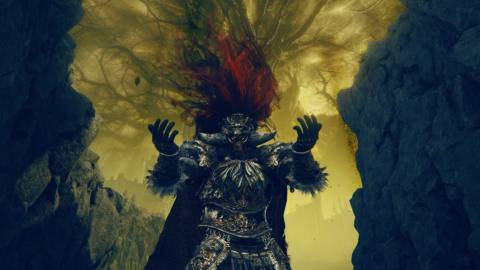 Elden Ring publisher “calls out” Shadow of the Erdtree players struggling with the difficulty