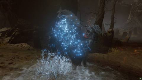 An image of Torrent disappearing in the Abyssal Woods in Elden Ring Shadow of the Erdtree DLC. 