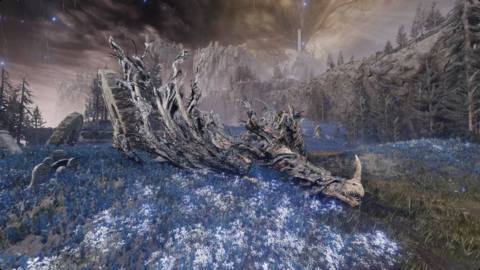 A Ghostflame Dragon lays in a field of flowers in Elden Ring DLC