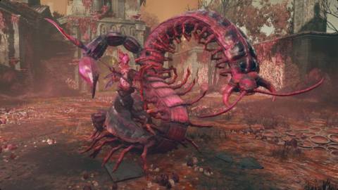 Romina Saint of the Bud shows off her 800 legs during an Elden Ring DLC boss fight.