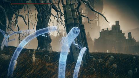 The PC Gamer team has collectively spent hundreds of hours playing Elden Ring: Shadow of the Erdtree, and we still have no idea what the deal is with the glowing blue wormy guy