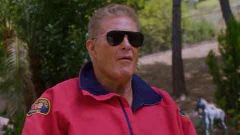 David Hasselhoff surprise face of new green gaming initiative