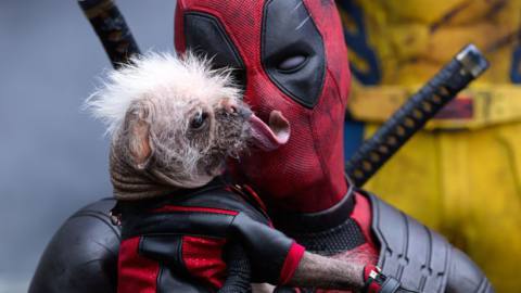 Dogpool licks Deadpool’s face (or at least the outside of his mask) in Deadpool &amp; Wolverine. 