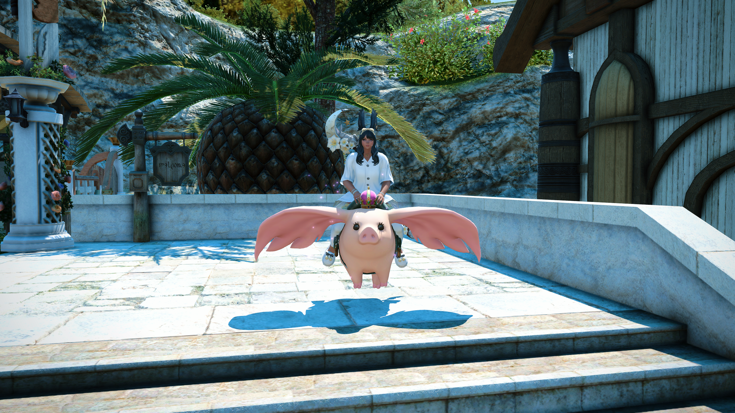 Final Fantasy 14 Porxie mount