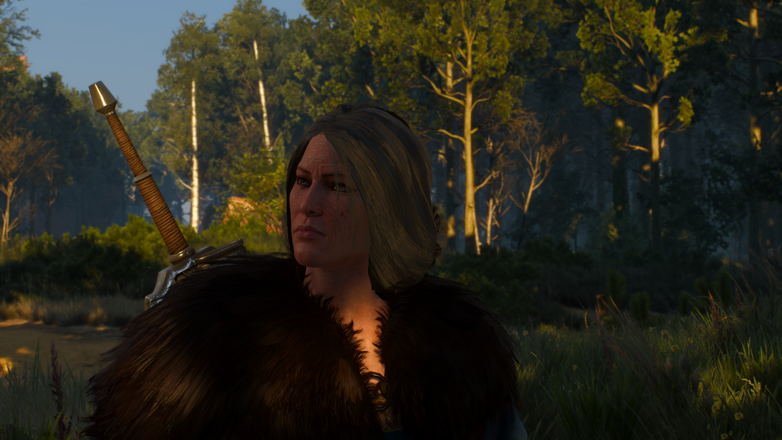 Witcher 3 custom character mod