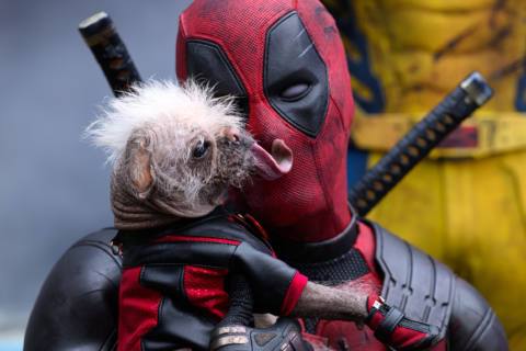 Ryan Reynolds’ deleted Deadpool & Wolverine clip suggests a future for its biggest cameo