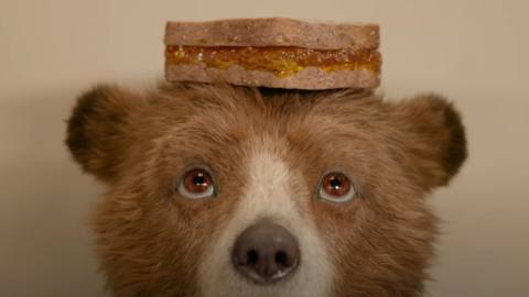 As Paddington in Peru looms near, plans for a fourth movie and new series are moving forward