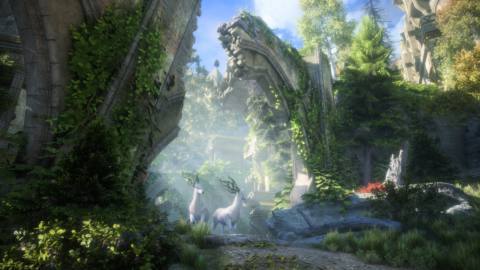 BioWare talks Dragon Age: The Veilguard’s exploration, photo mode