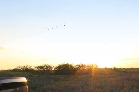 A photo of the plot of Texas land owned by Cards Against Humanity.