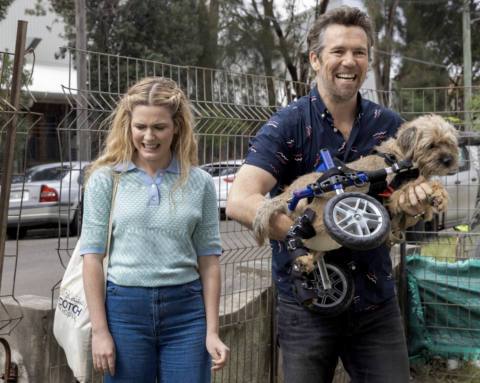 A still from the Australian TV show Colin From Accounts. A man is holding a dog, which can no longer move his back legs and requires the use of wheels to move around. A woman next to them looks away awkwardly.