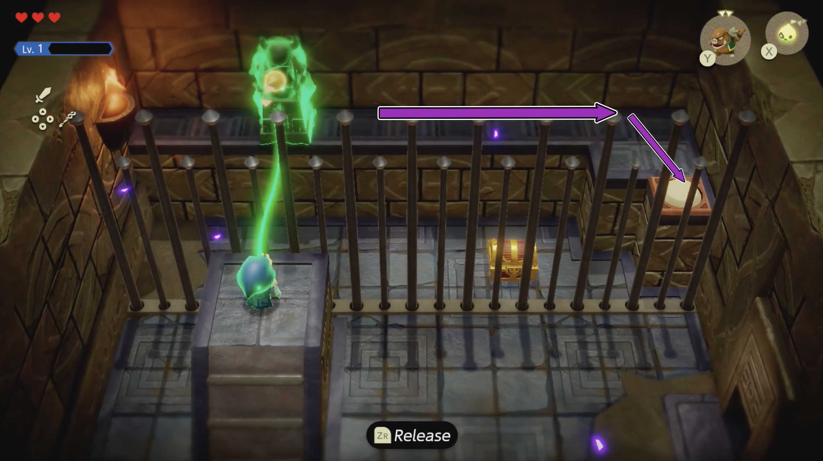 Zelda moves a statue onto a button in Suthorn Ruins in Echoes of Wisdom