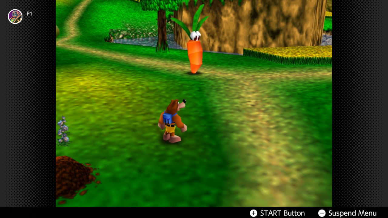 Banjo and Kazooie hanging out outside their house Banjo and Kazooie hanging out outside their house