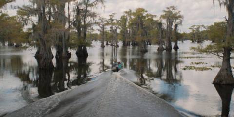 A first-person POV shot of the prow of a small boat as it sails through Caddo Lake in Max’s sci-fi drama Caddo Lake