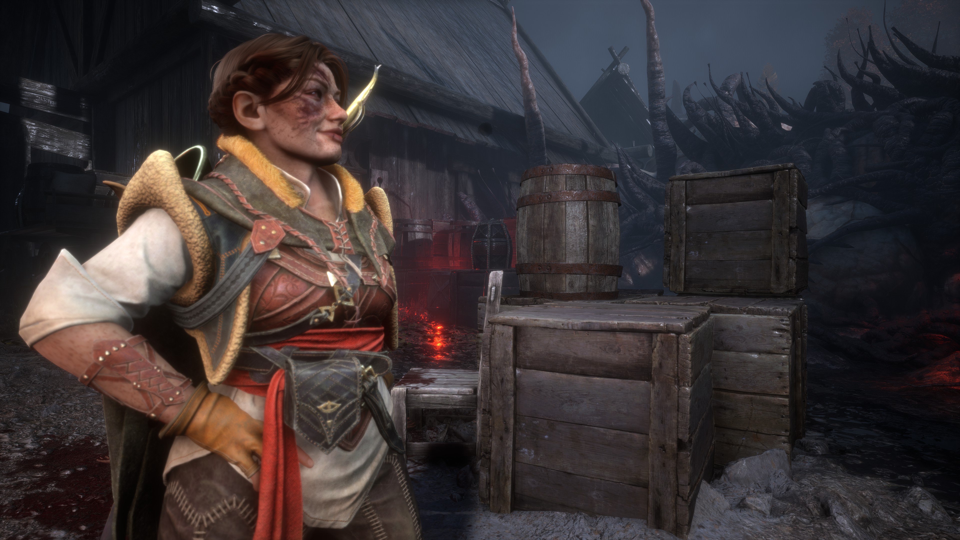 A screenshot of Dragon Age: The Veilguard showing the impact of the use of depth of field