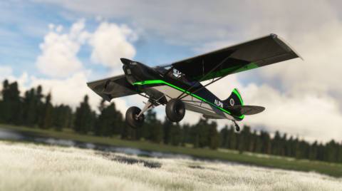 A black-and-green single-engine plane with large rubber tires comes in for a landing on a field of white flowers.