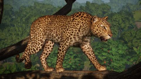 Planet Zoo celebrates fifth birthday with more DLC and a free leopard