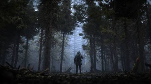 A soldier walks into a forest clearing in STALKER 2 