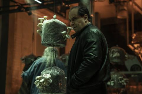 Oz (Colin Farrell) standing in front mushrooms growing out of bags in a still from The Penguin