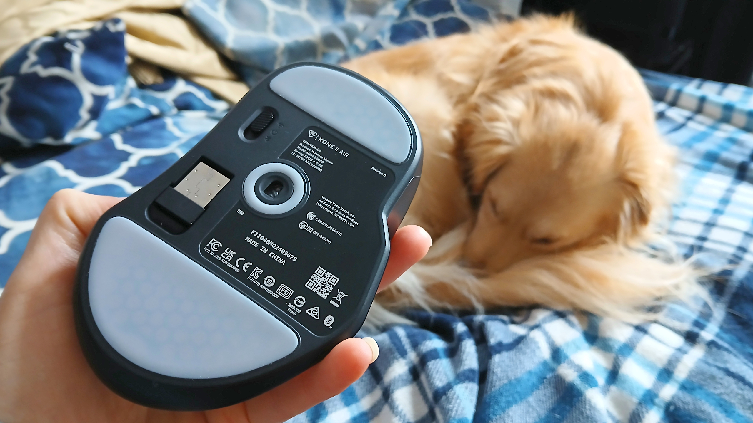 A Turtle Beach Kone II Air gaming mouse with RGB enabled. And a cute dog sleeping.