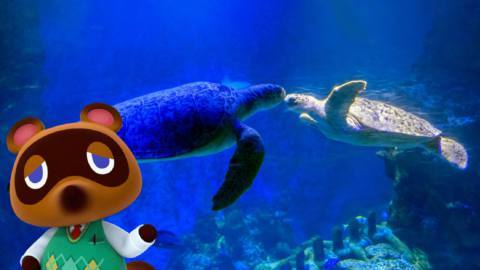 Animal Crossing collaboration coming to Sea Life aquariums across the UK