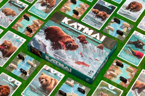 Katmai: The Bears of Brooks River, a board game laid out on grass, with a grid of bear cards surrounding the box, depicting bears catching salmon in a river