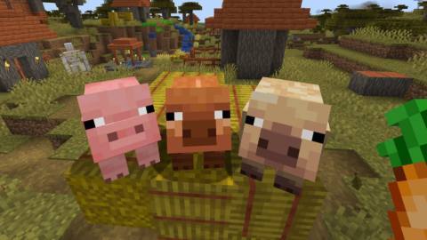 Minecraft adds new pig variants, ambient falling leaves, wildflowers, and more for testing