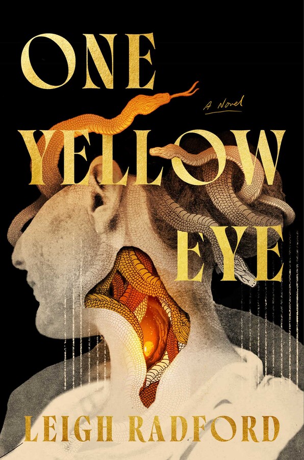 The cover of One Yellow Eye by Leigh Radford