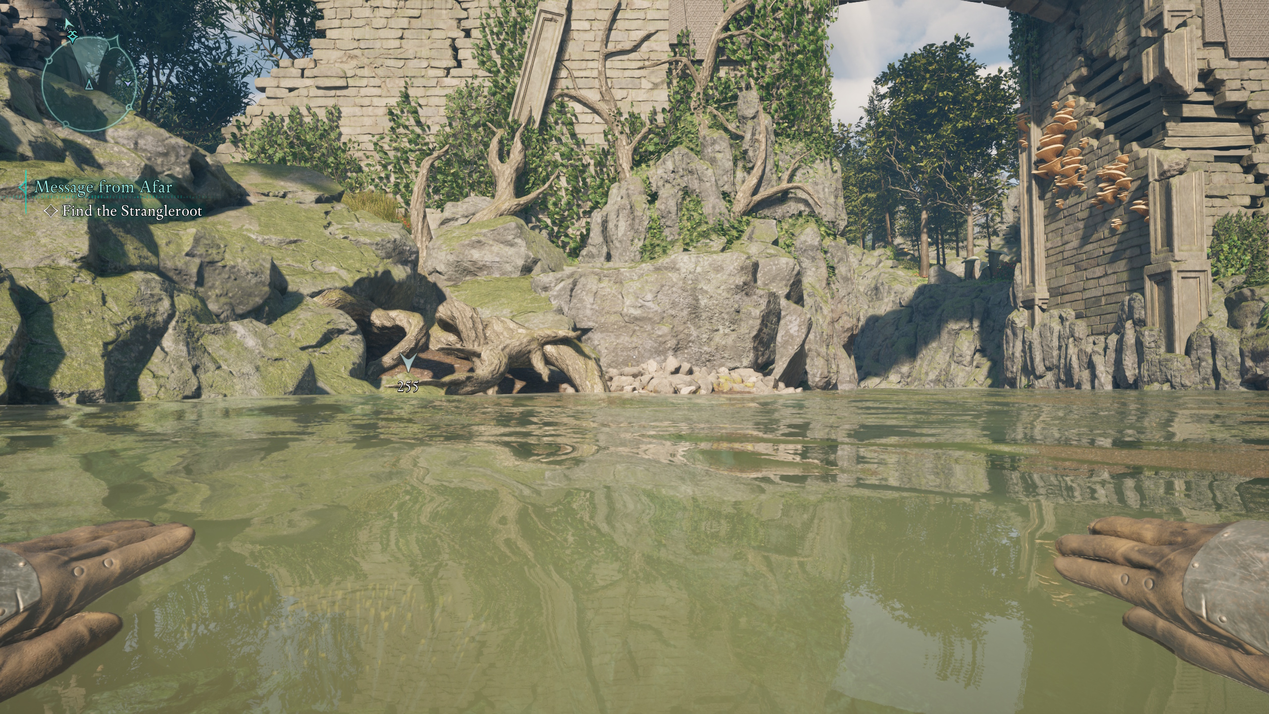 The main character swims in a river looking for the Captain Henqua’s Spoils treasure map in Avowed