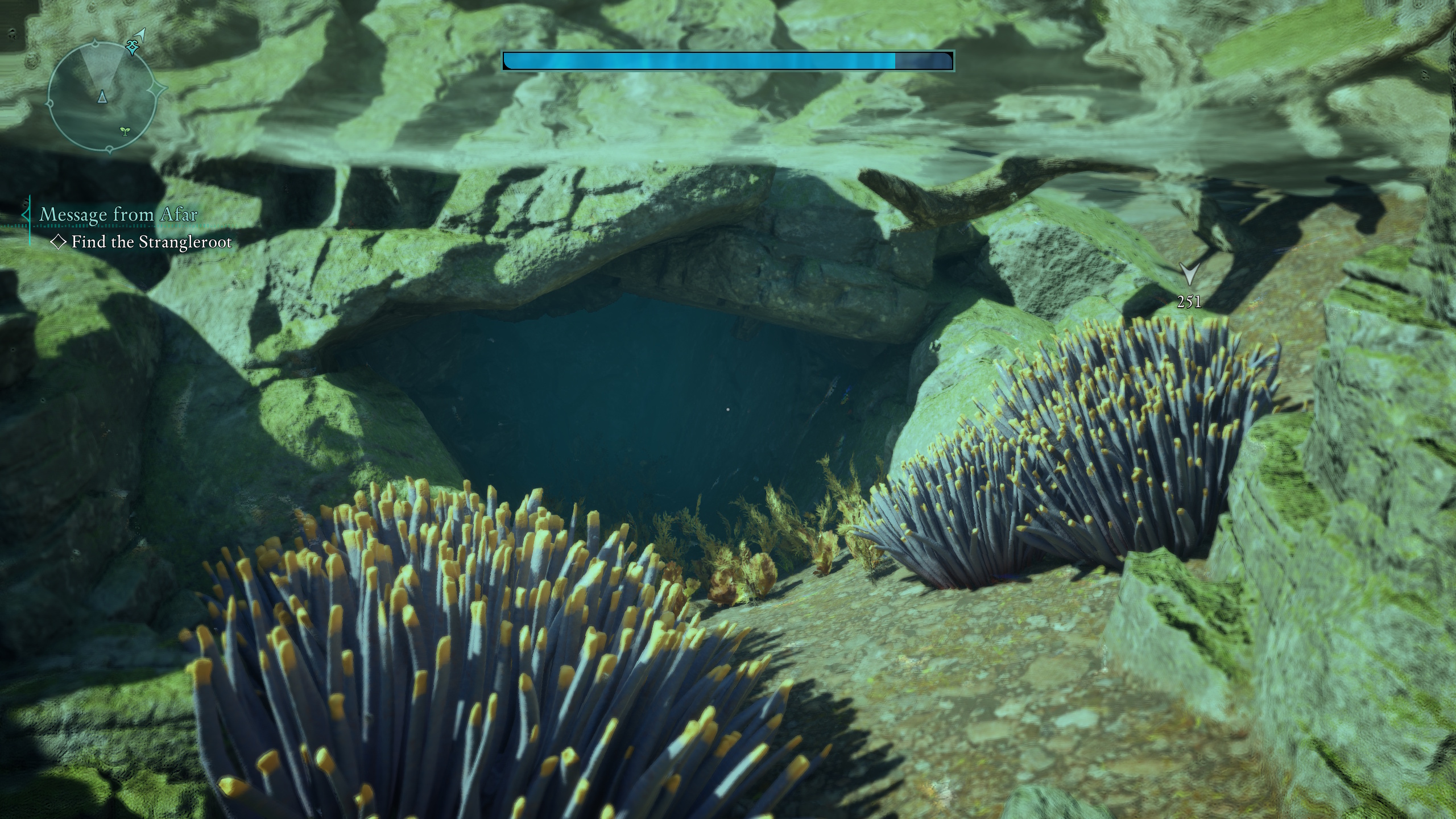 An Avowed character dives in a cave looking for Captain Henqua’s Spoils treasure map in Avowed