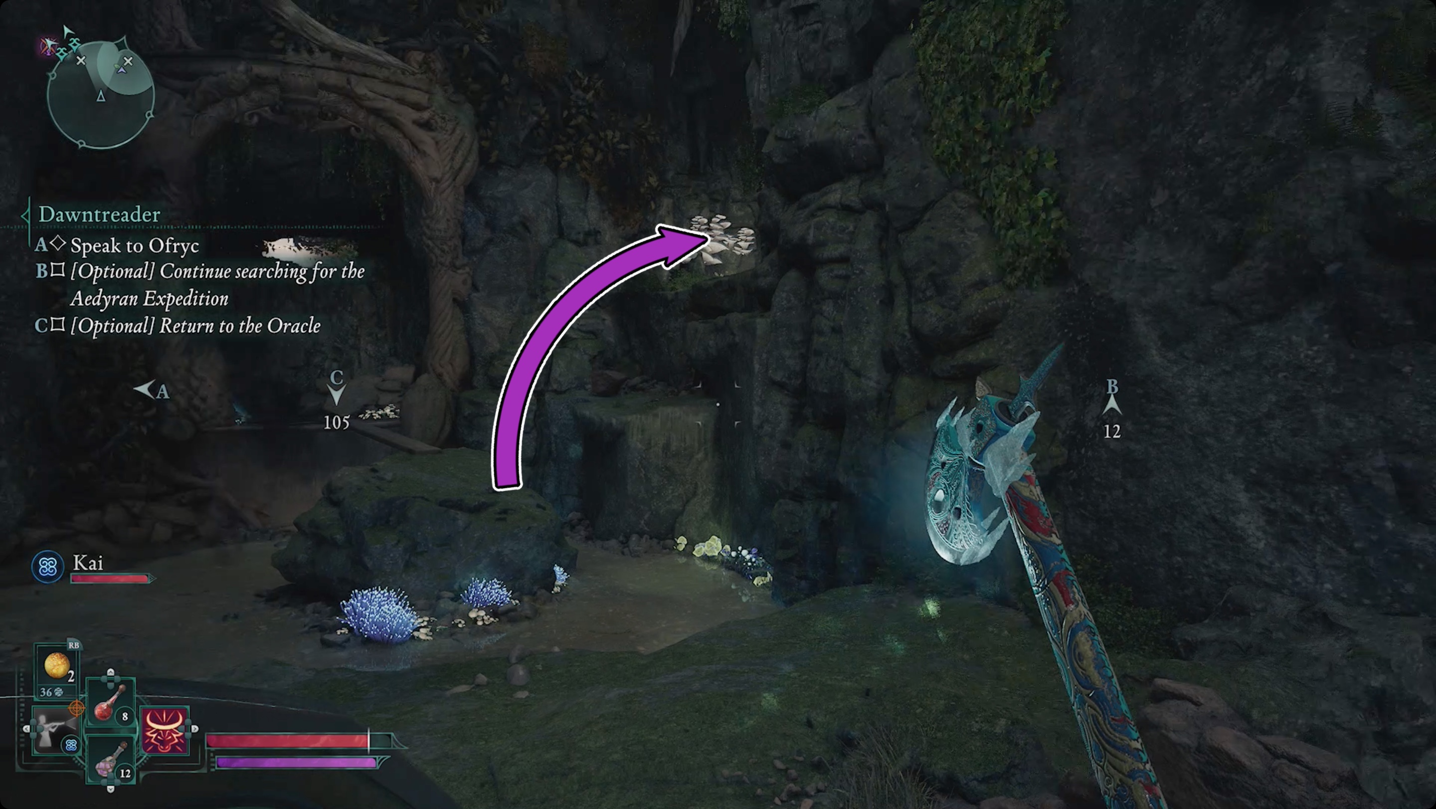 Avowed route to the Aedyran Expedtion Avowed route to the Aedyran Expedtion