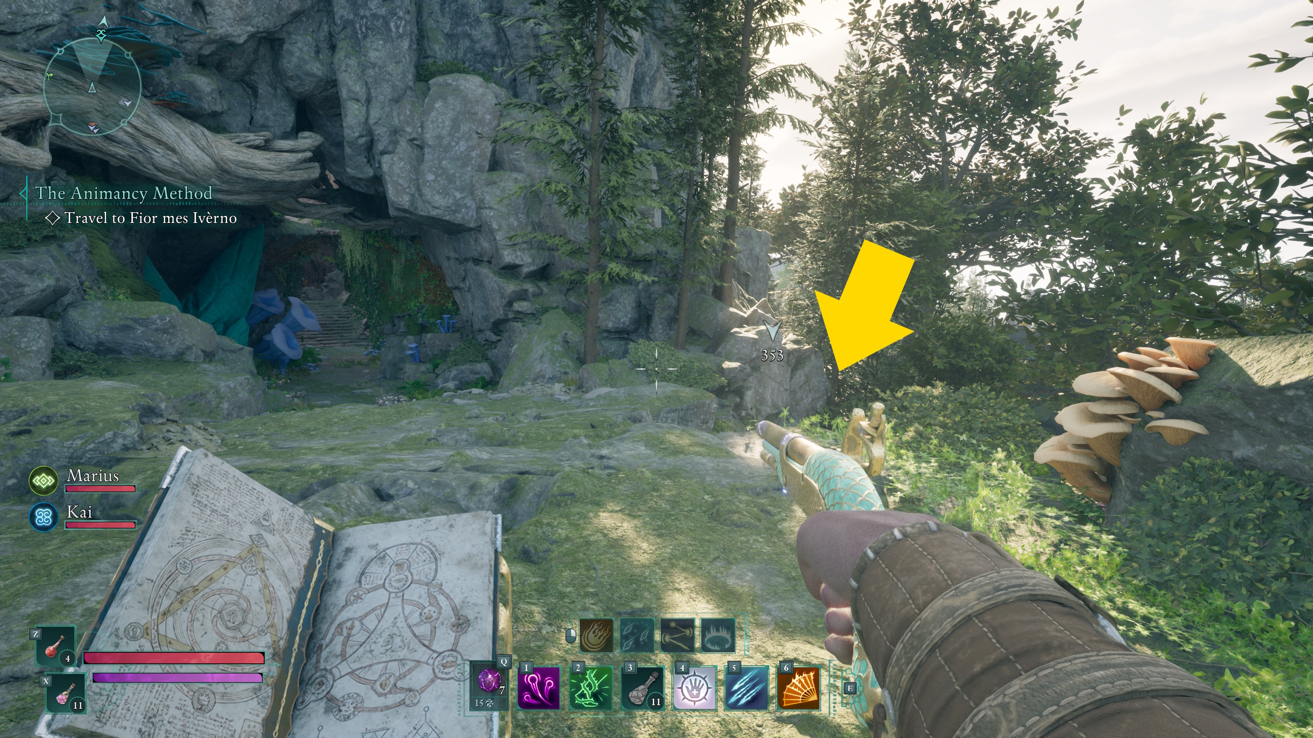 An Avowed main character hunts for the Intimidating Feline Codpiece treasure map in Avowed An Avowed main character hunts for the Intimidating Feline Codpiece treasure map in Avowed