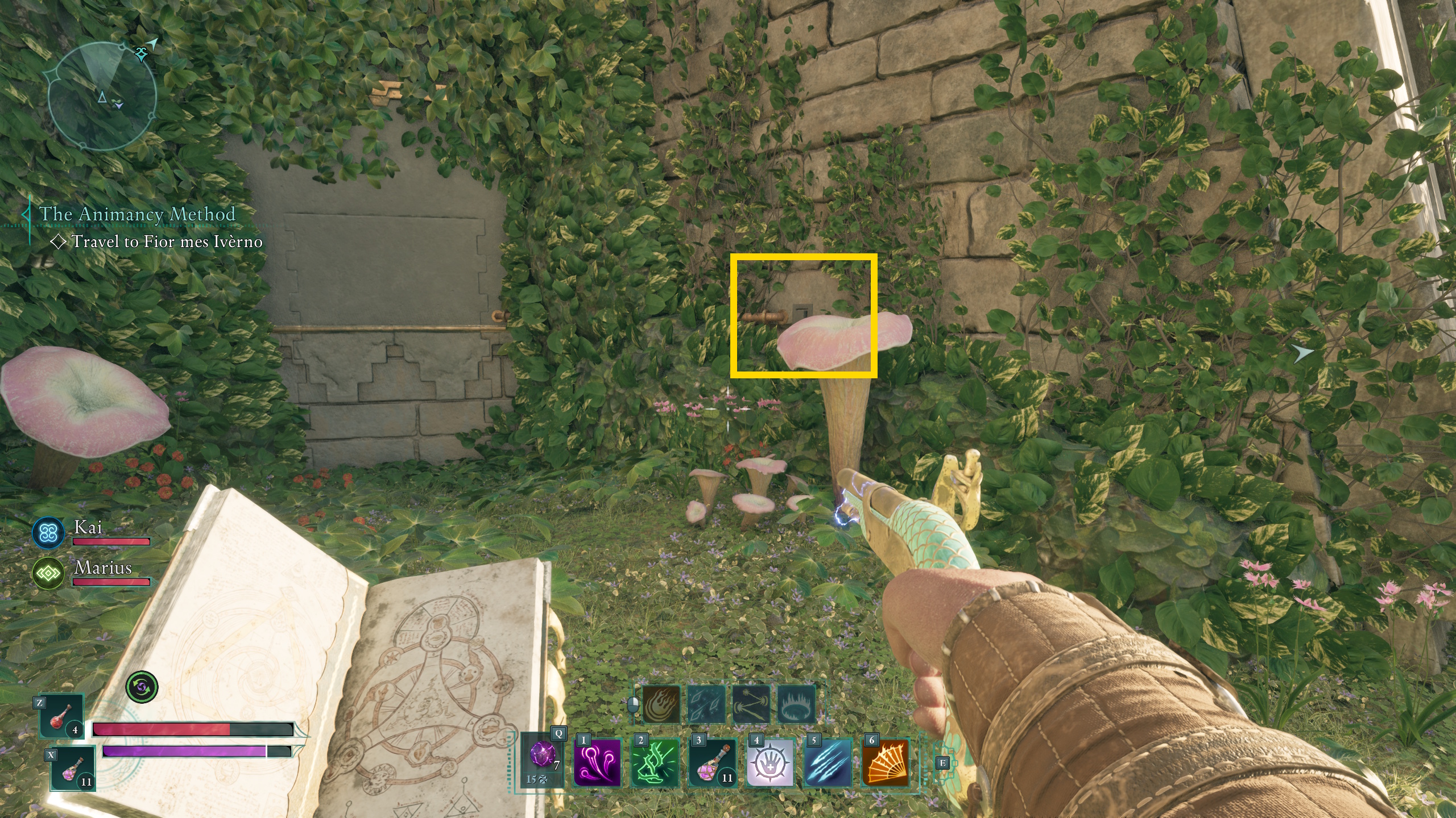 The Avowed main character pushes a secret button to get the Woedica’s Inheritance treasure map solution The Avowed main character pushes a secret button to get the Woedica’s Inheritance treasure map solution