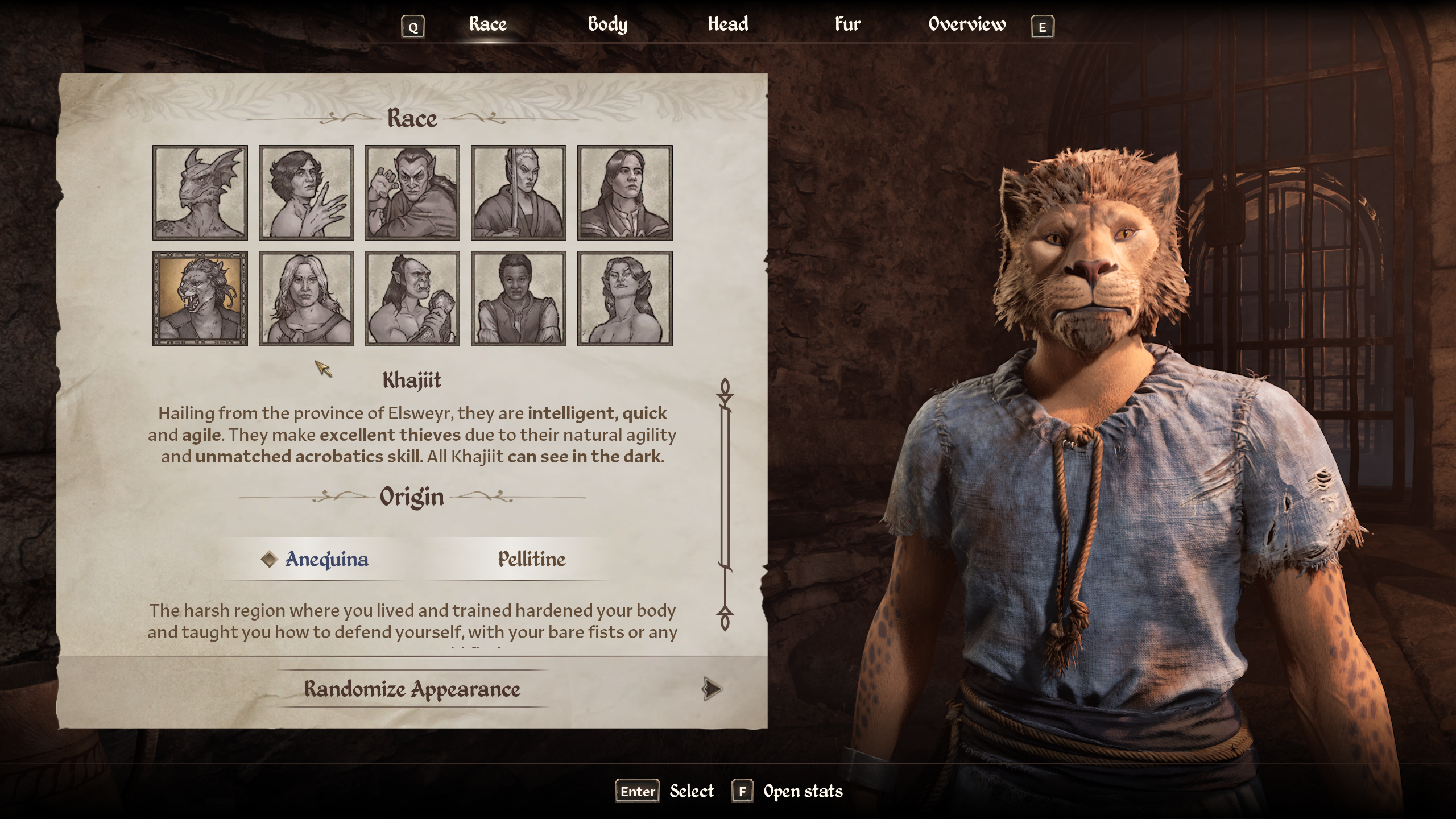 Best Oblivion races and origins - The default Khajiit male character in the character creator.