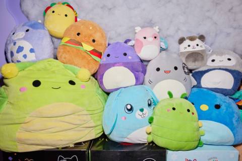 Court denies Build-A-Bear’s request to be sent 3,000 Squishmallows as part of lawsuit