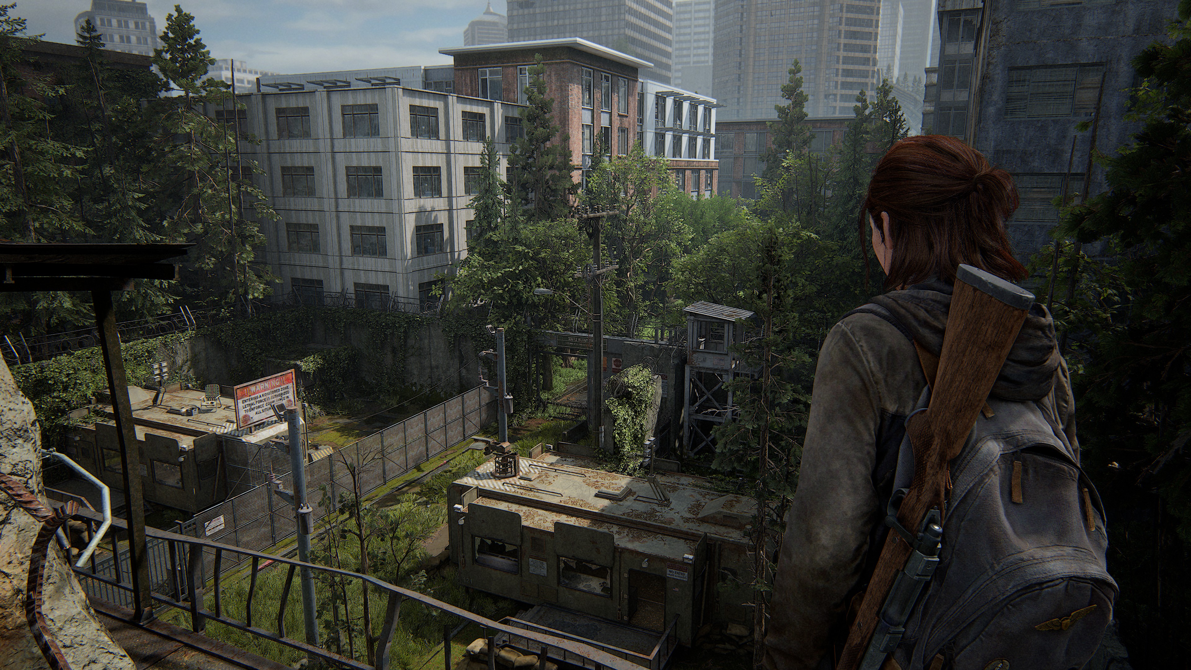 Screenshots from the PC version of The Last of Us Part 2 Remastered, using the game's photo mode