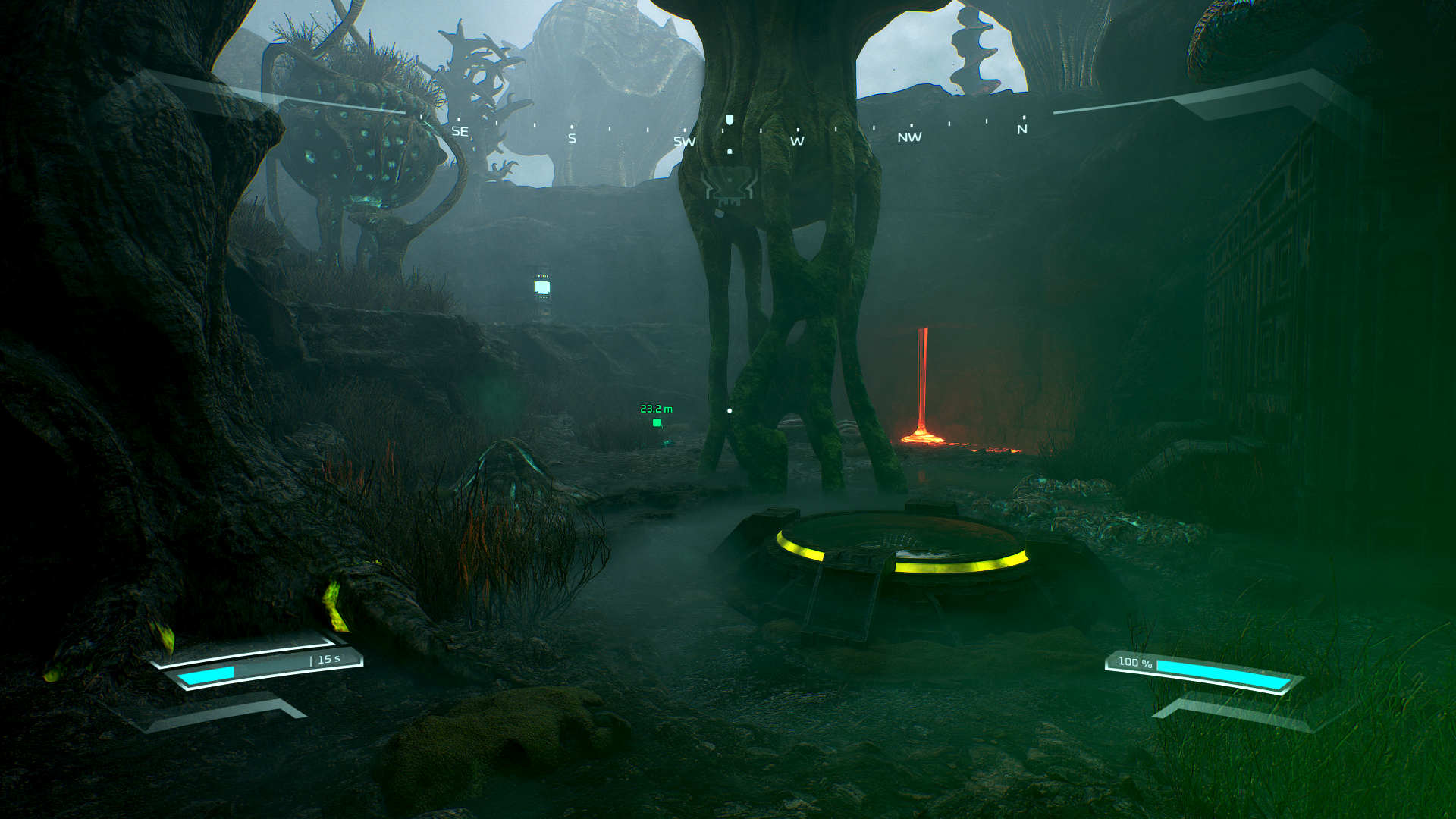 A swamp