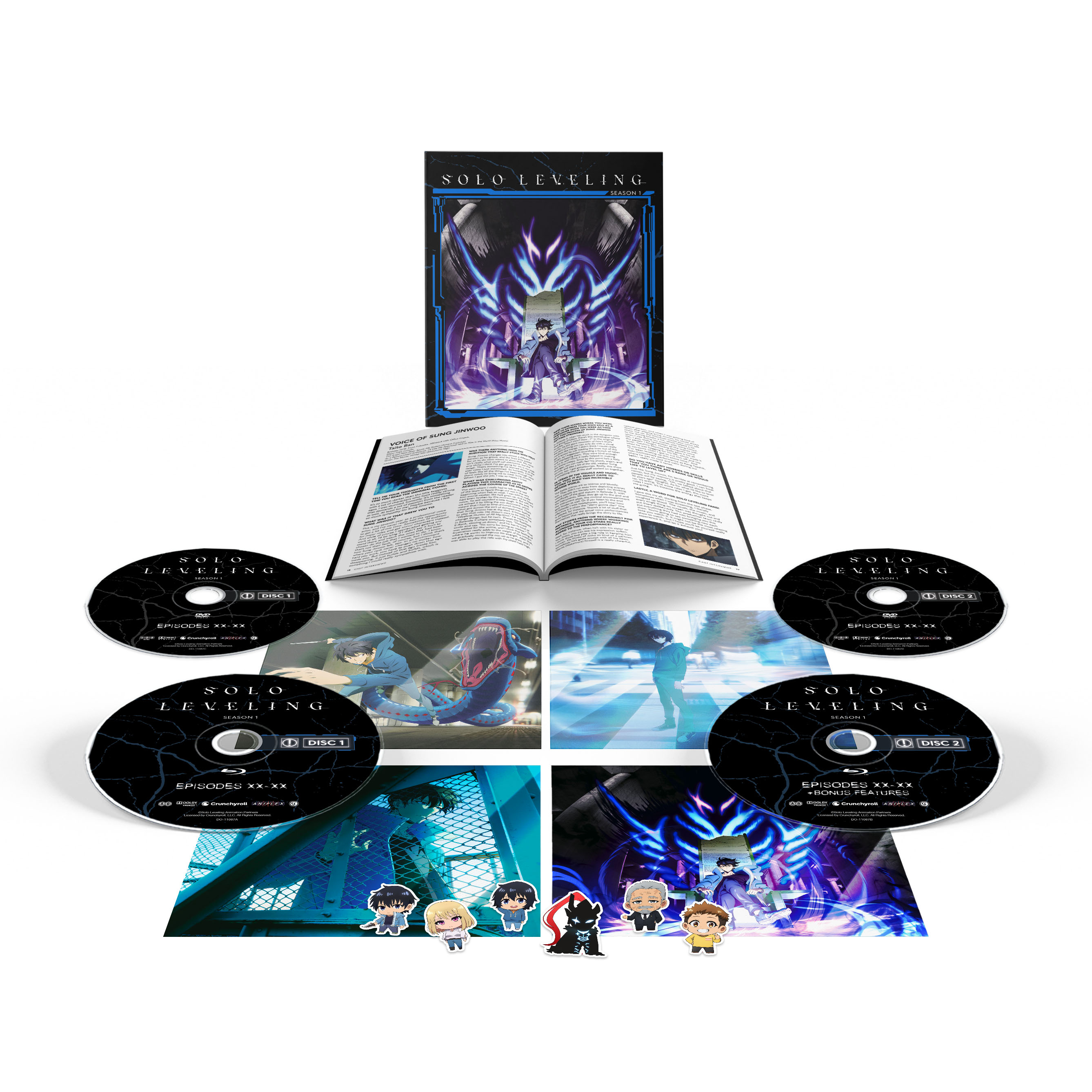 A shot of the Solo Leveling special edition blu-ray, including shots of a book, posters, stickers, and discs