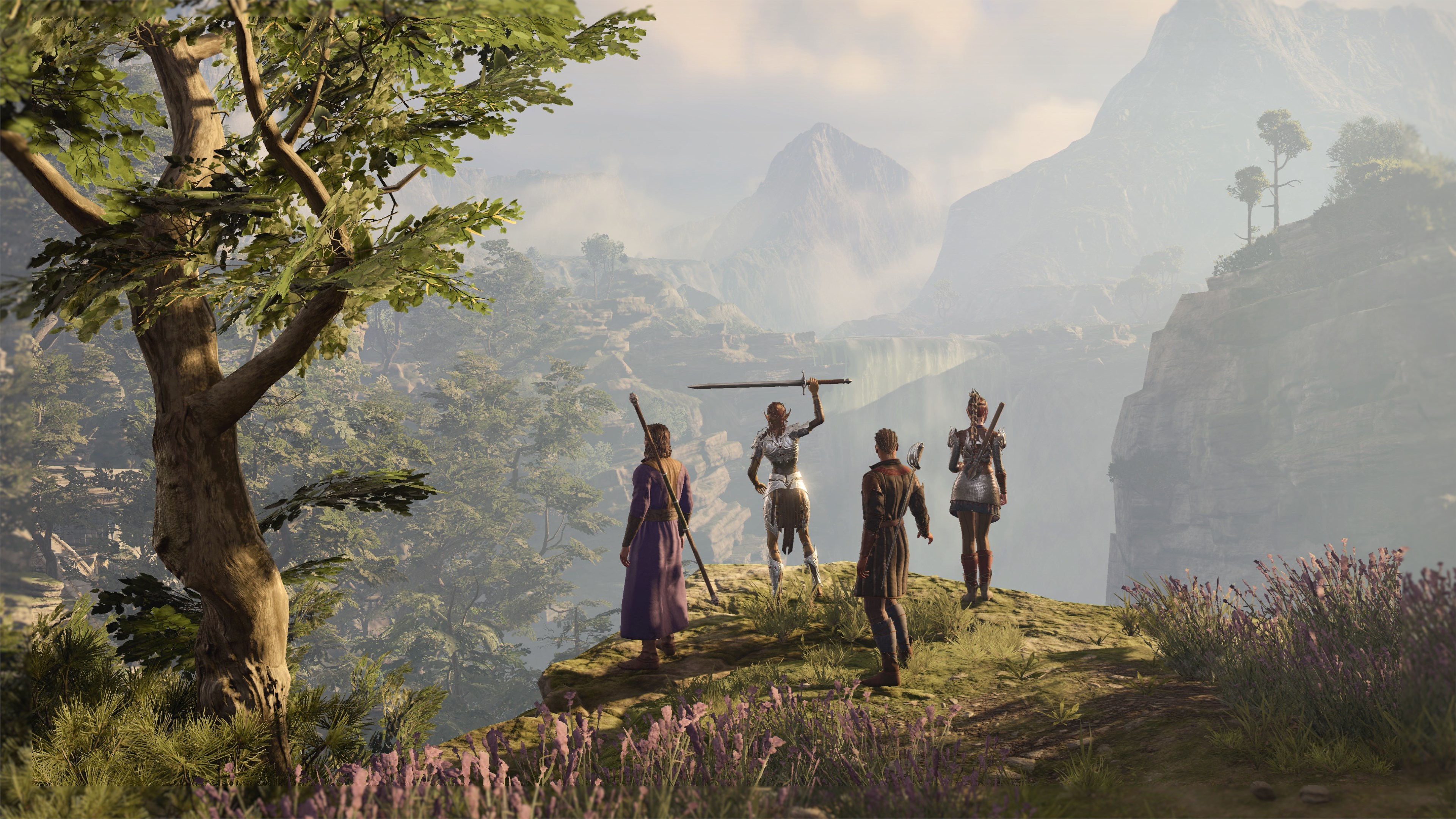 The party standing on a ridge looking out at the landscape in Baldur's Gate 3.