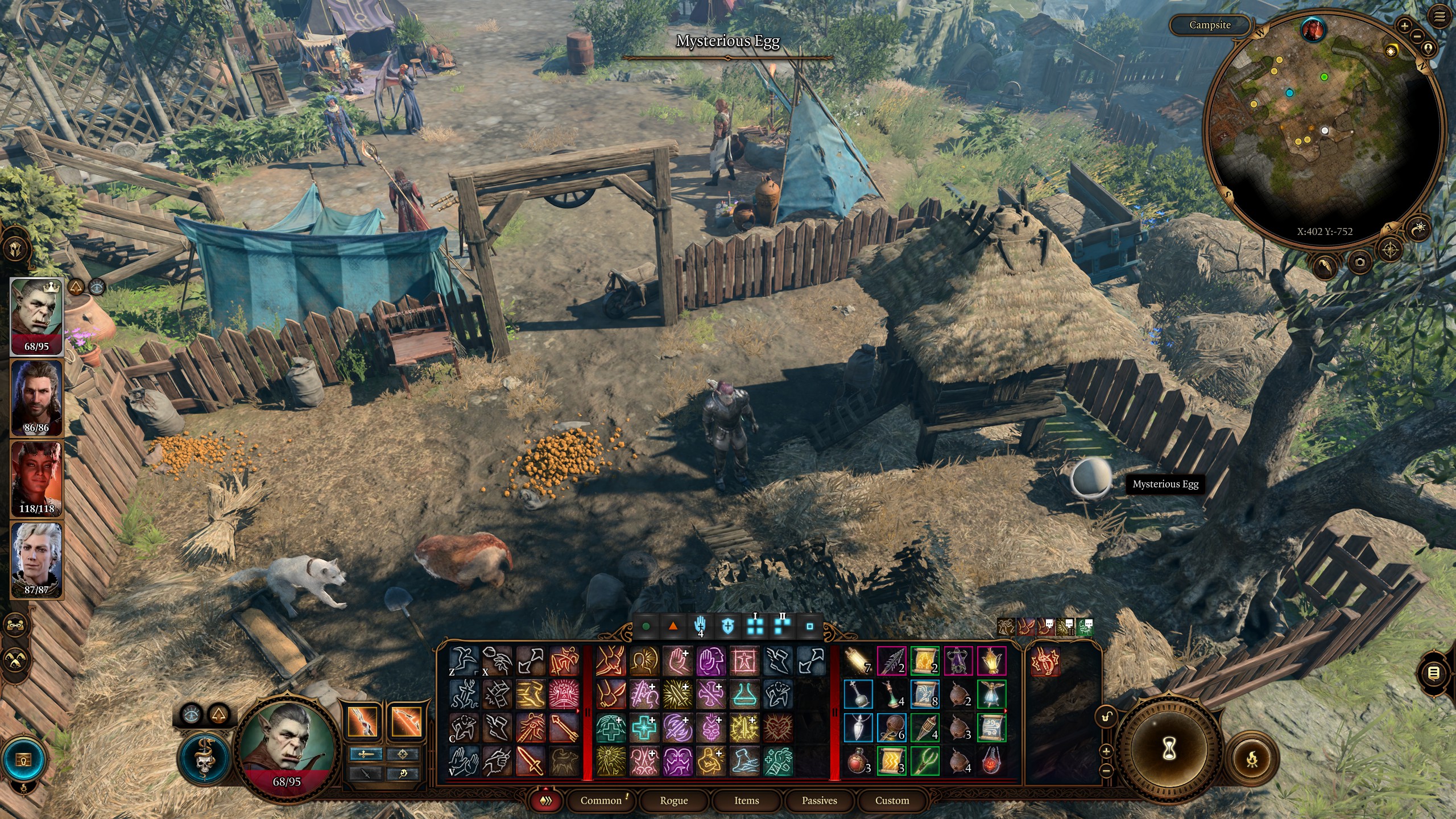 Baldur's Gate 3 Mysterious Egg in party camp