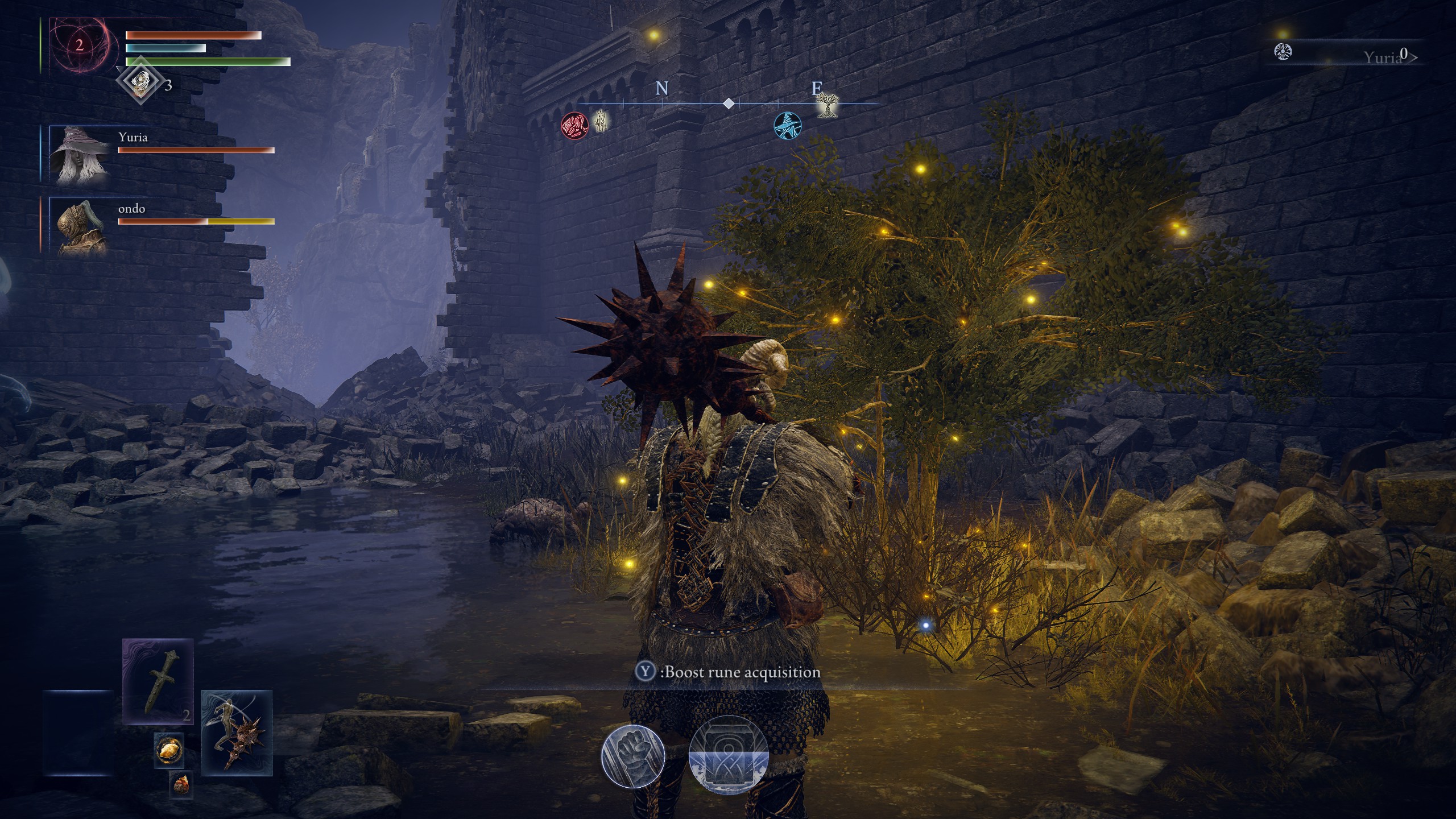 Elden Ring Nightreign rune farm - Glowing bush