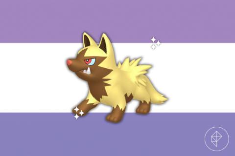 Can Poochyena be shiny in Pokémon Go?