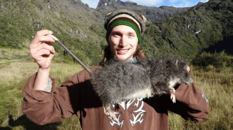 It turns out the gigantic rats you have to kill in so many RPG quests are totally real, and now I need to apologise to RPG designers