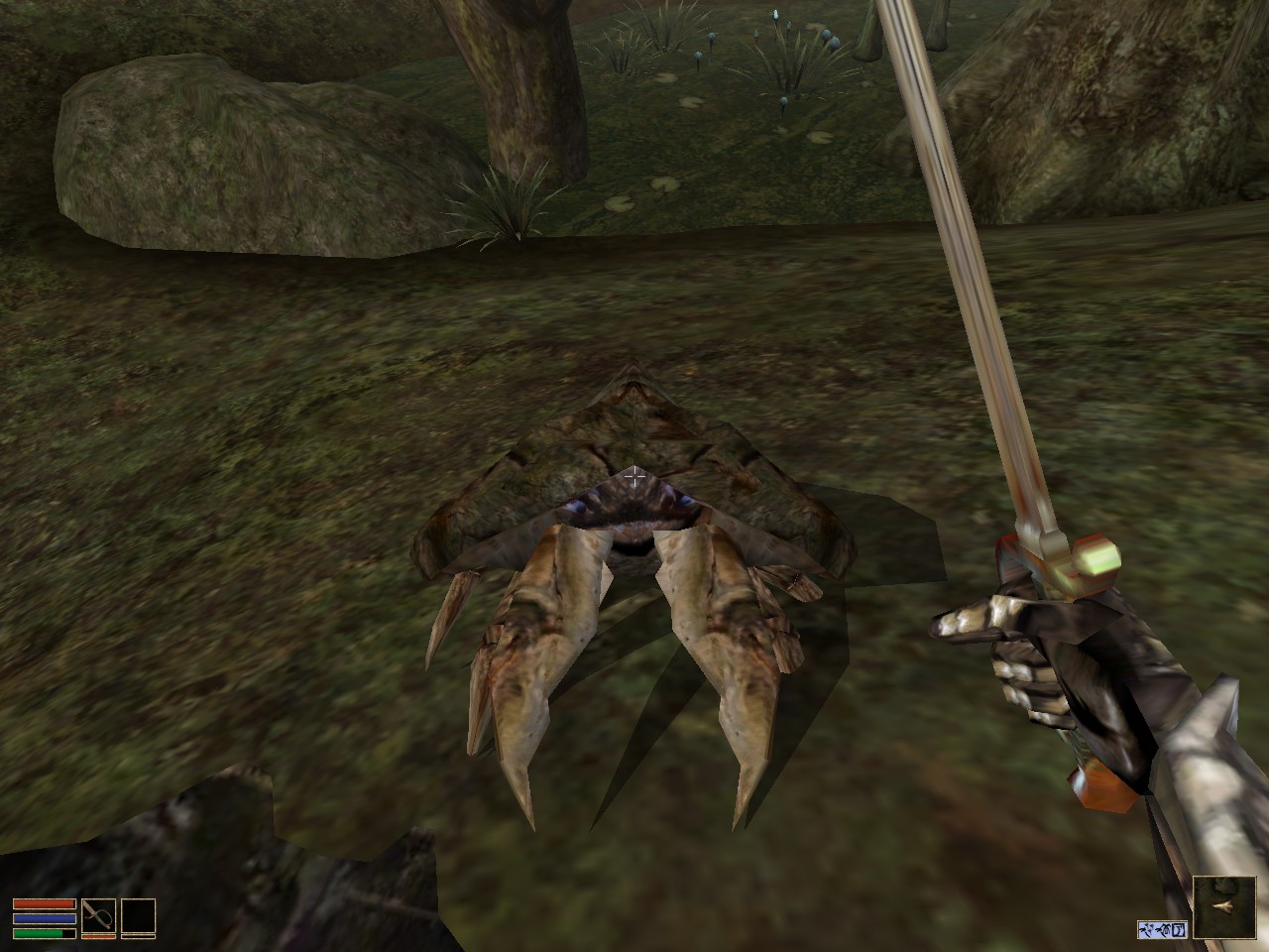 Morrowind