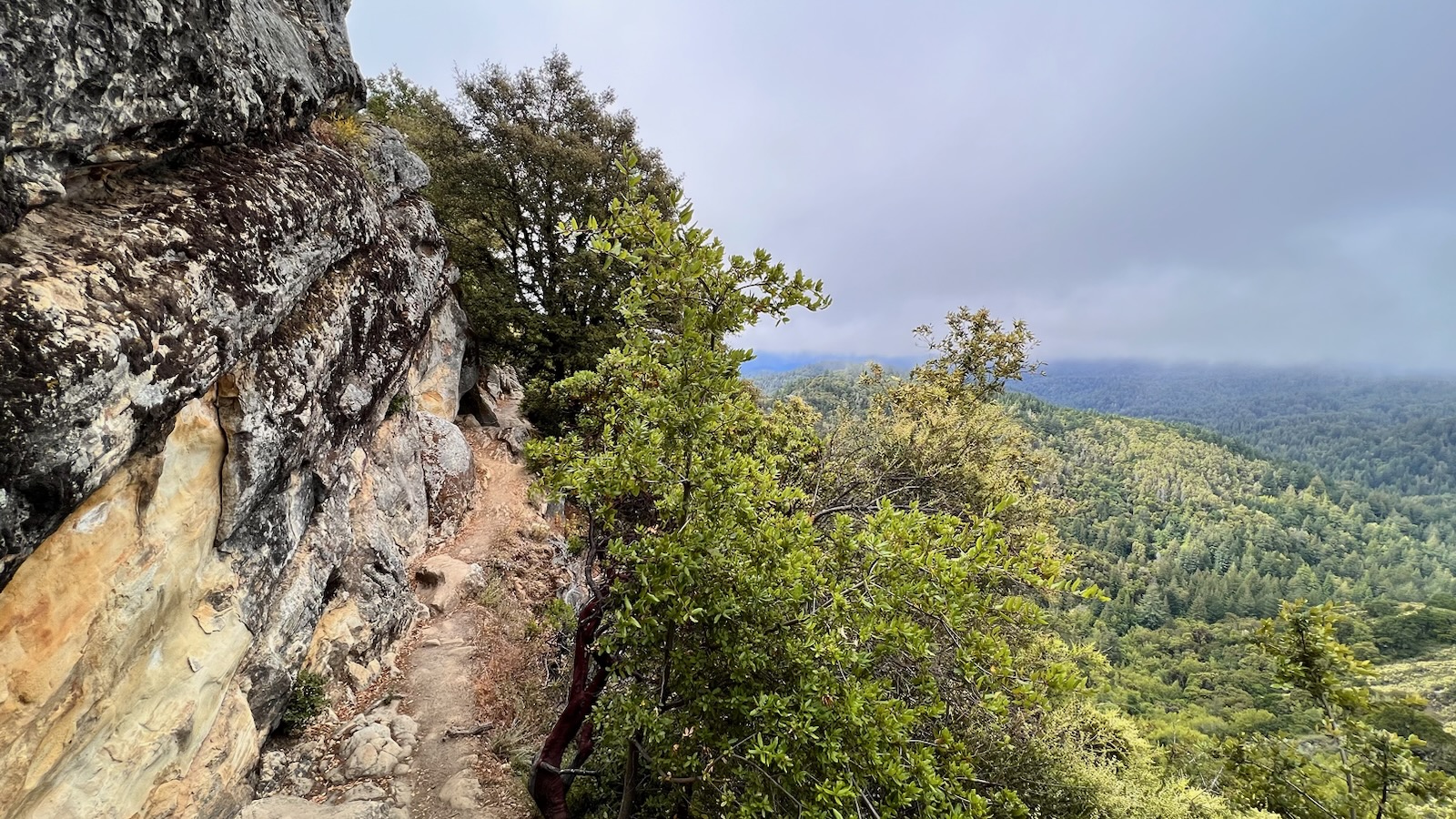 Remembering Leif Johnson