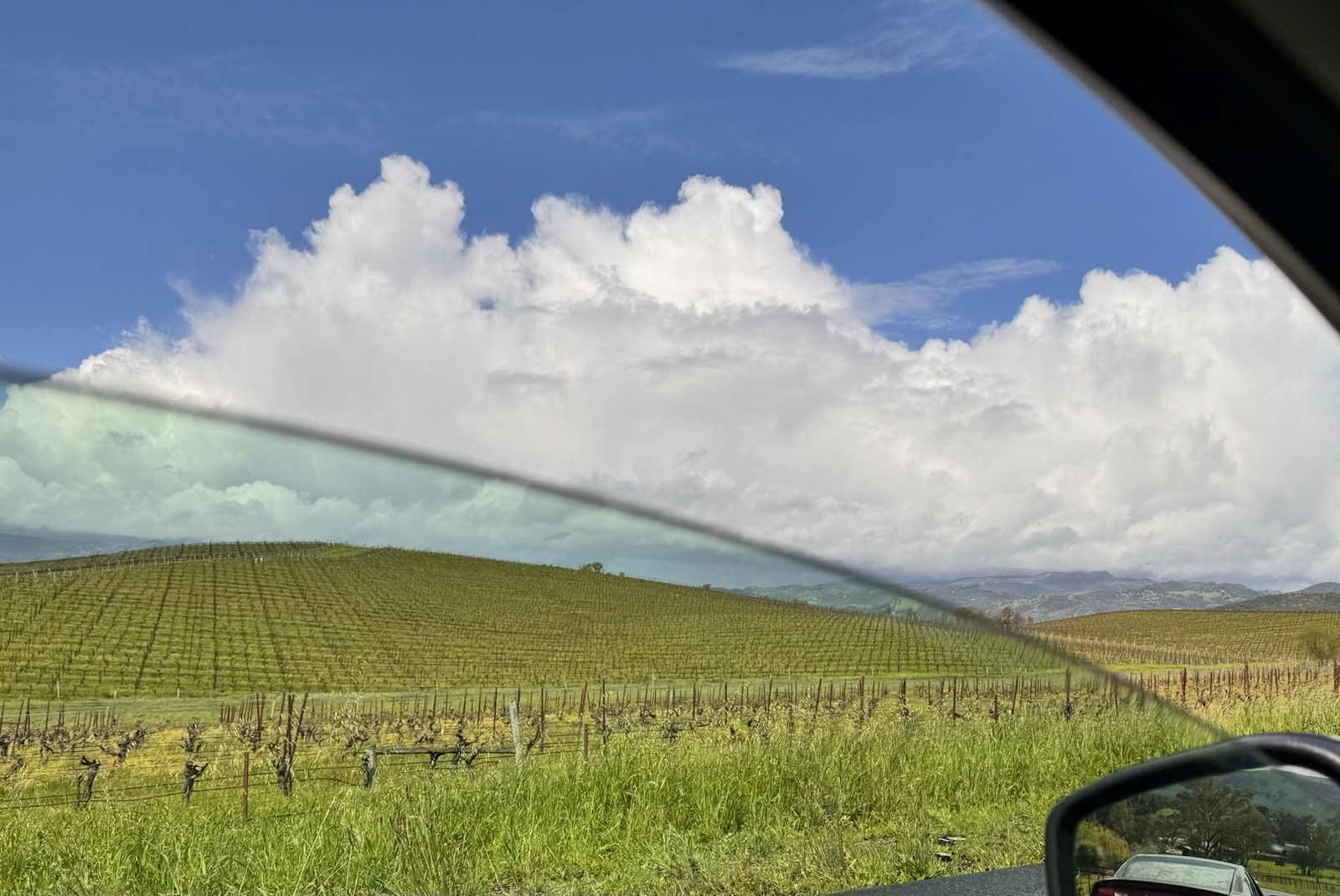 Remembering Leif Johnson